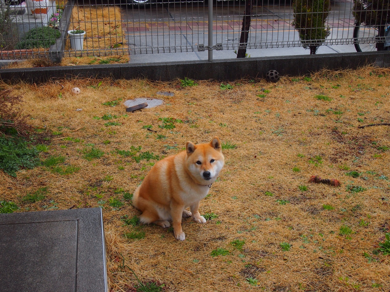 三分天下的鏖战，韩国风暴如何一寸寸撕碎印尼长城