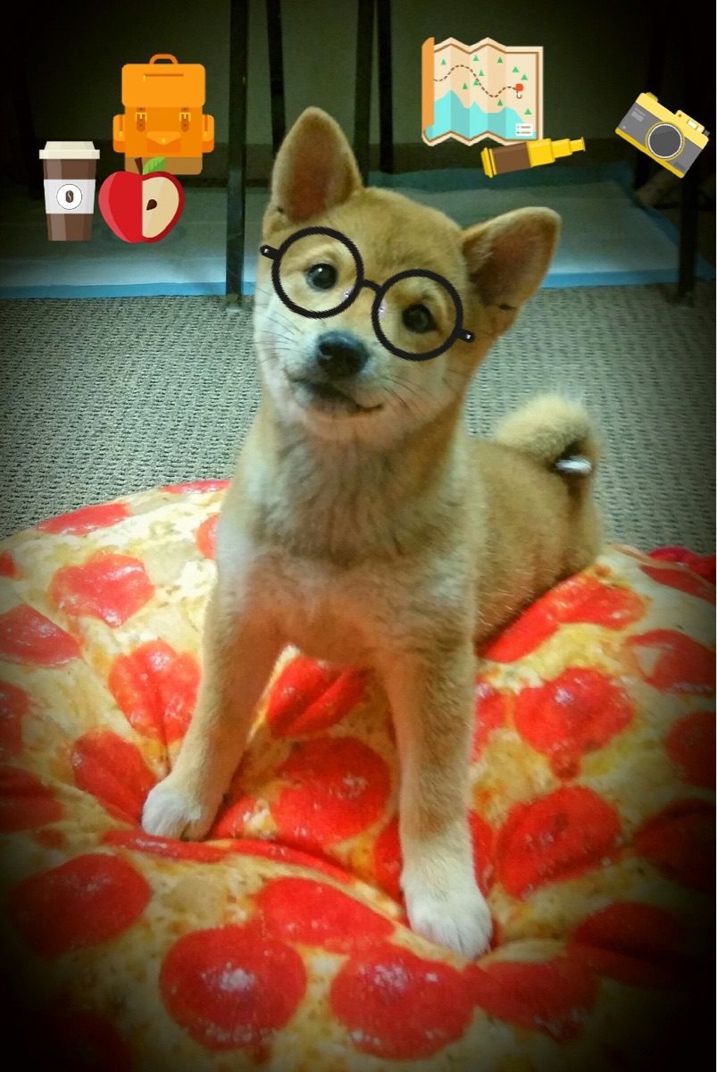 美网轻取拉沃尔杯封神,纳达尔以唯一的方式,重燃网坛灵魂火焰