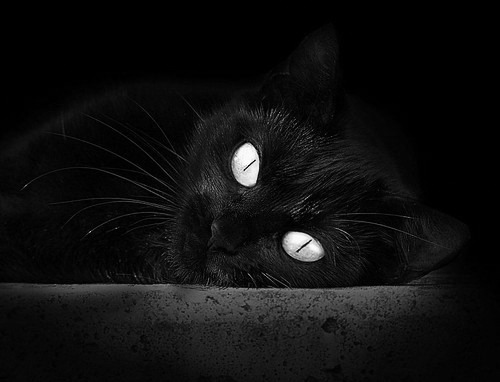 后山的镇纸，当卡塞米罗的弧线带走牙买加的云