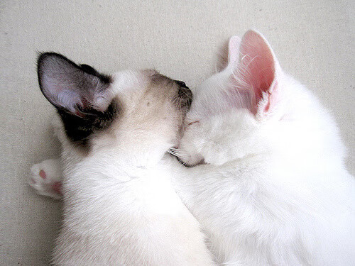 爱游戏-唯一一剑，改写历史，门迪压哨绝杀，曼城惊险打穿智利铜墙