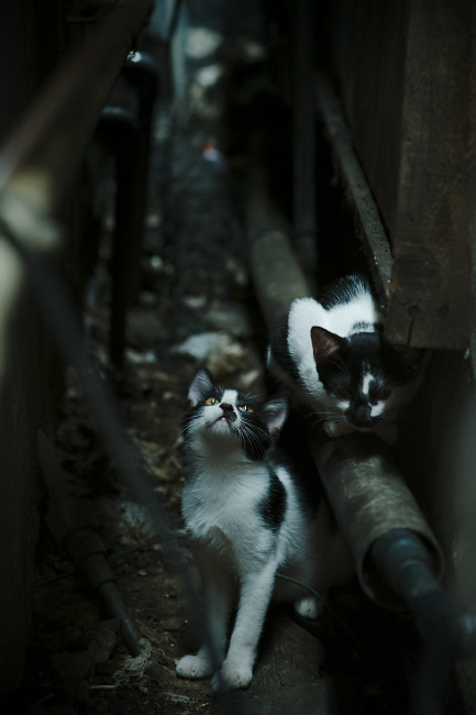 优雅的屠刀，斯通斯的个人技艺如何成为罗马碾碎马赛的最后一环
