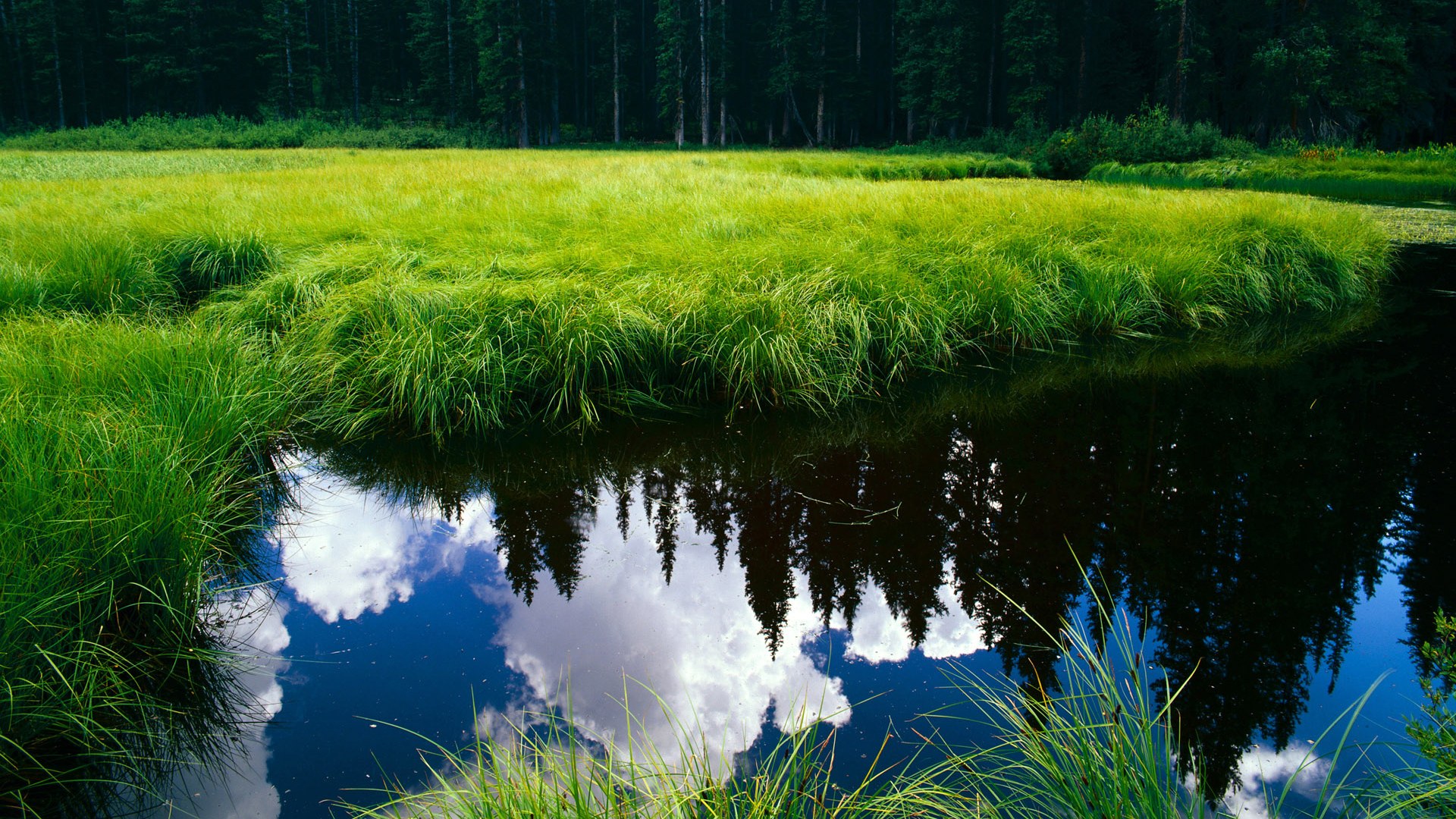 37+15+8断!当进攻艺术撞上防守铁壁,拉梅洛重塑控卫定义