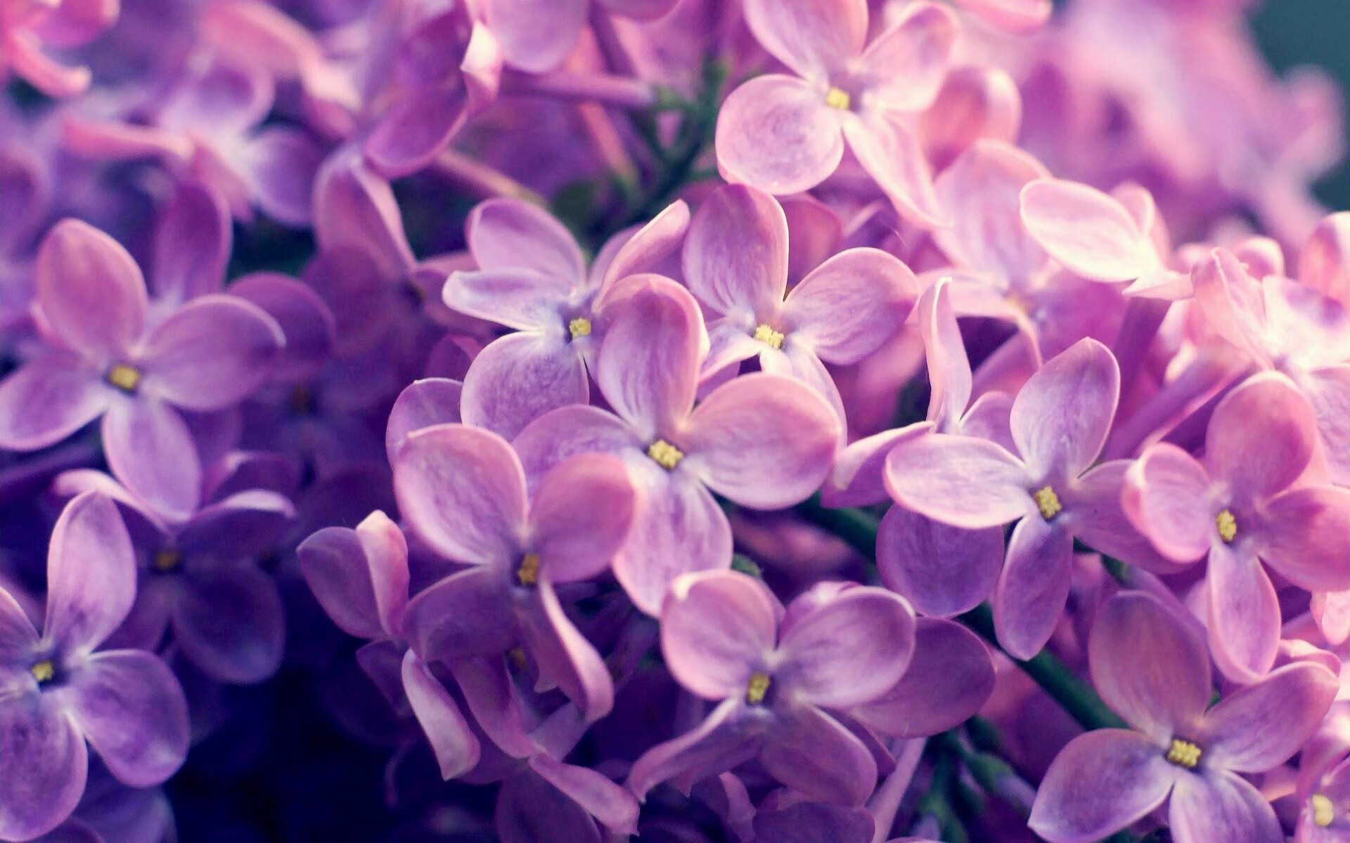 让我为您构思一篇富有深度且视角独特的文章