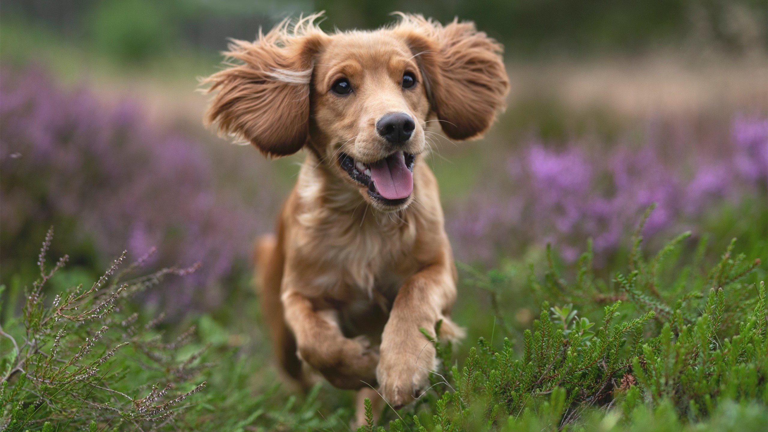 惊雷破晓，当爱德华兹在风暴中心起舞