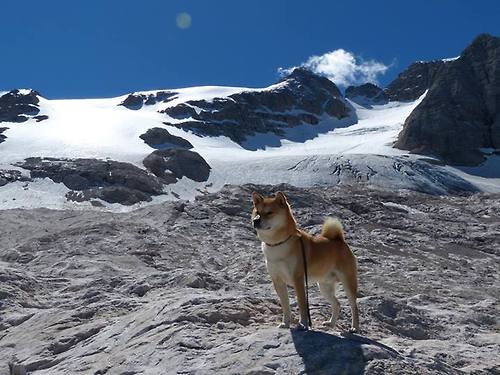 双城记,天山脚下与安菲尔德之夜—绝境中的主场呐喊