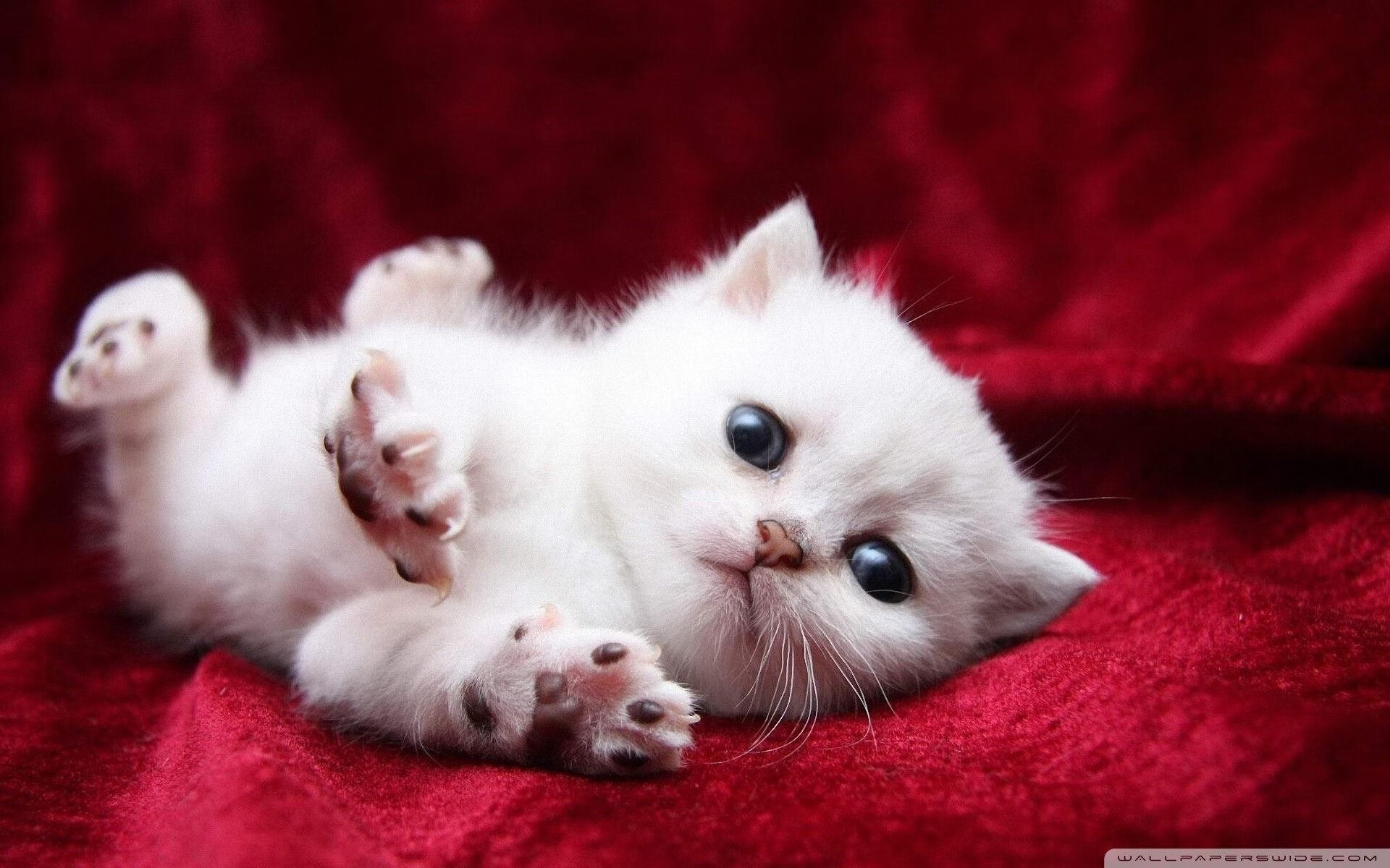 当德罗赞在太原咆哮,一场跨维度碾压背后的篮球哲学