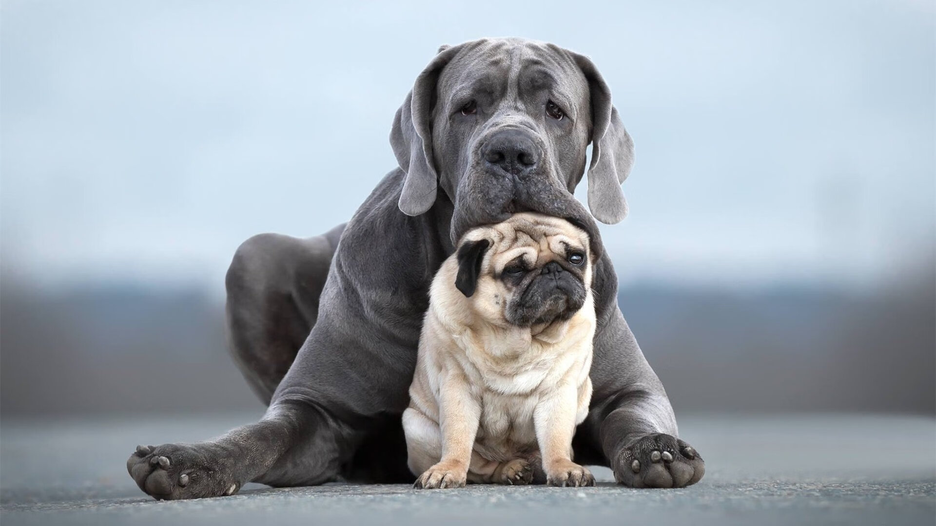 锡安暴力美学VS步行者鏖战艺术,当关键得分遭遇团队熬战