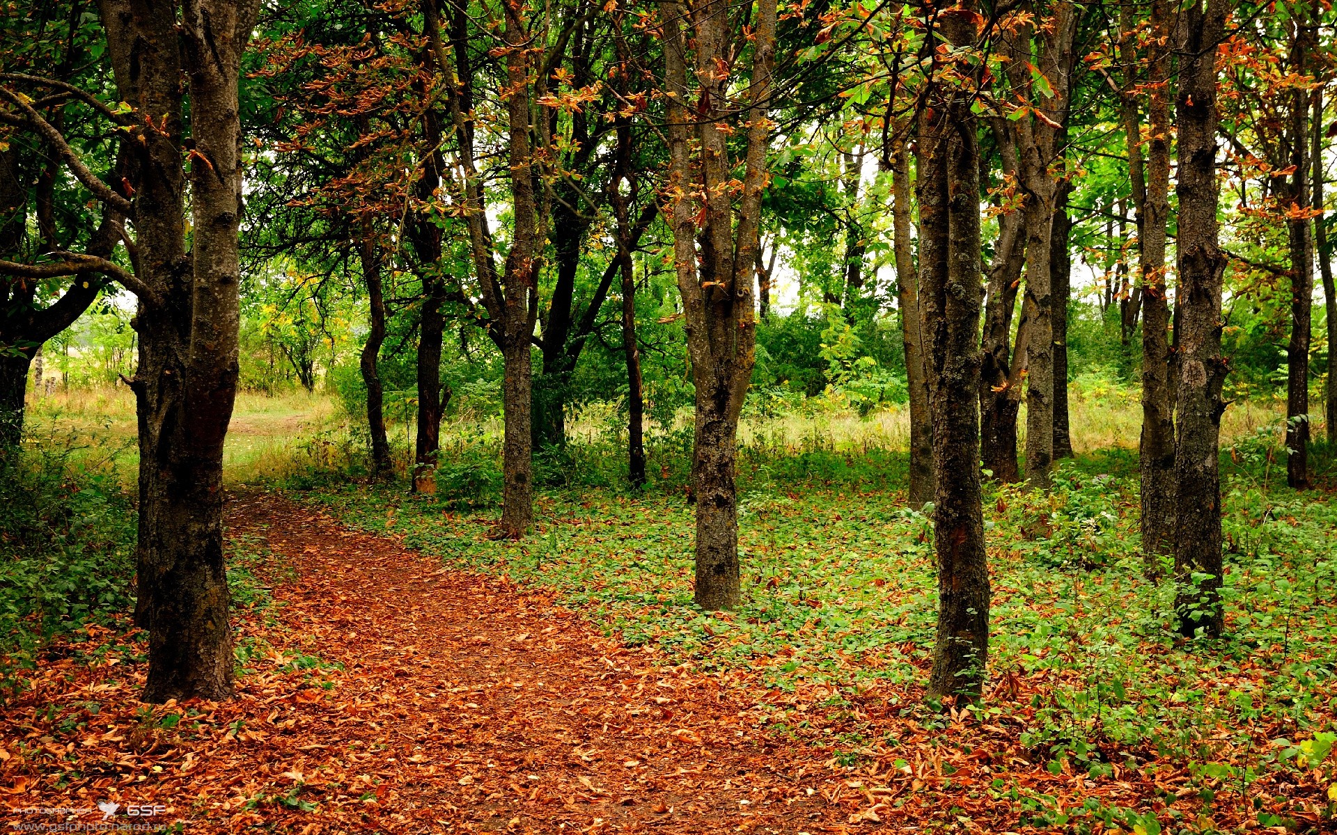拉梅洛的第三节魔法，当一场NBA比赛在终场前18分钟被宣判终结