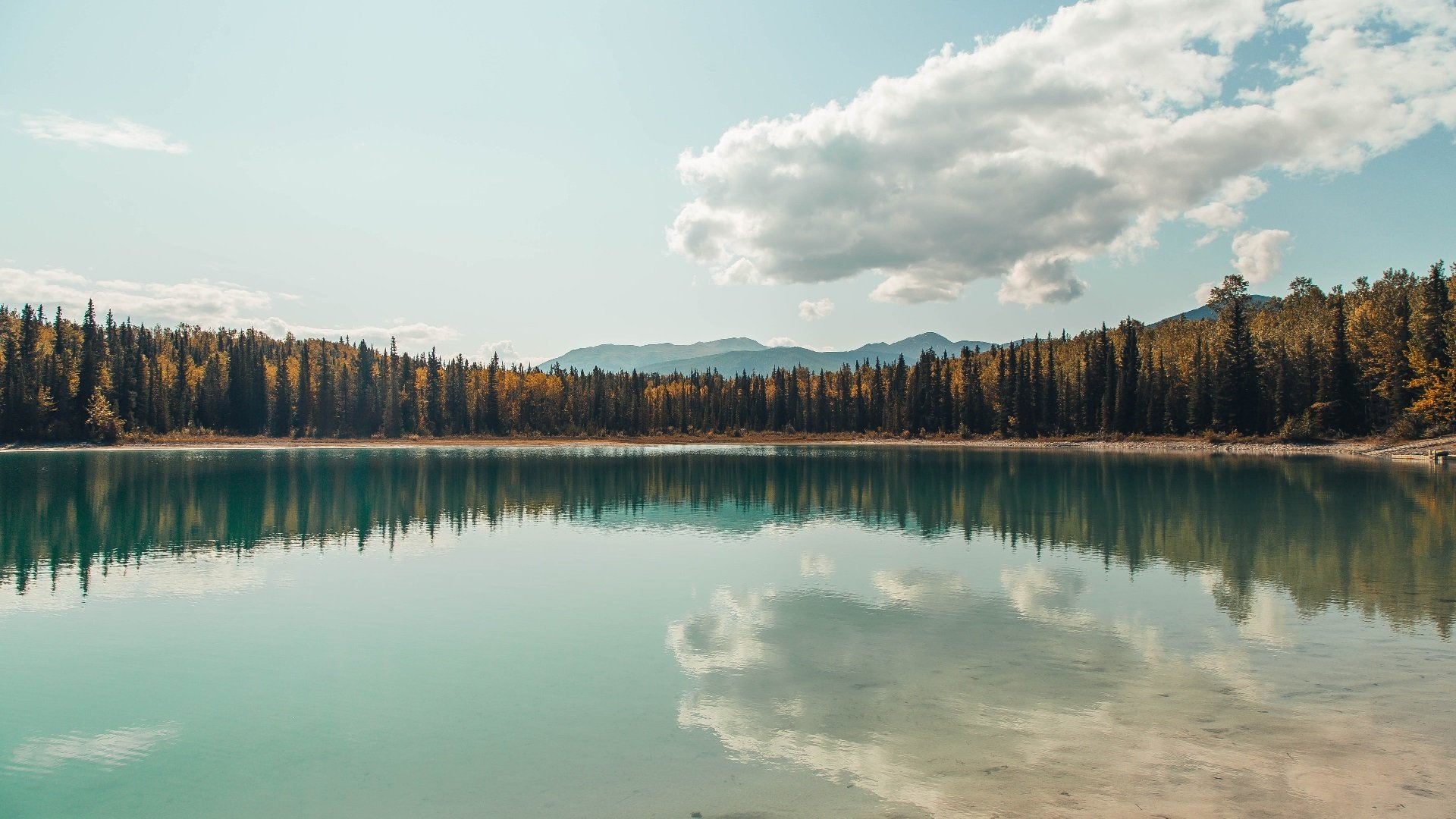 被撕裂的数据单,当孤胆英雄撞上觉醒巨人