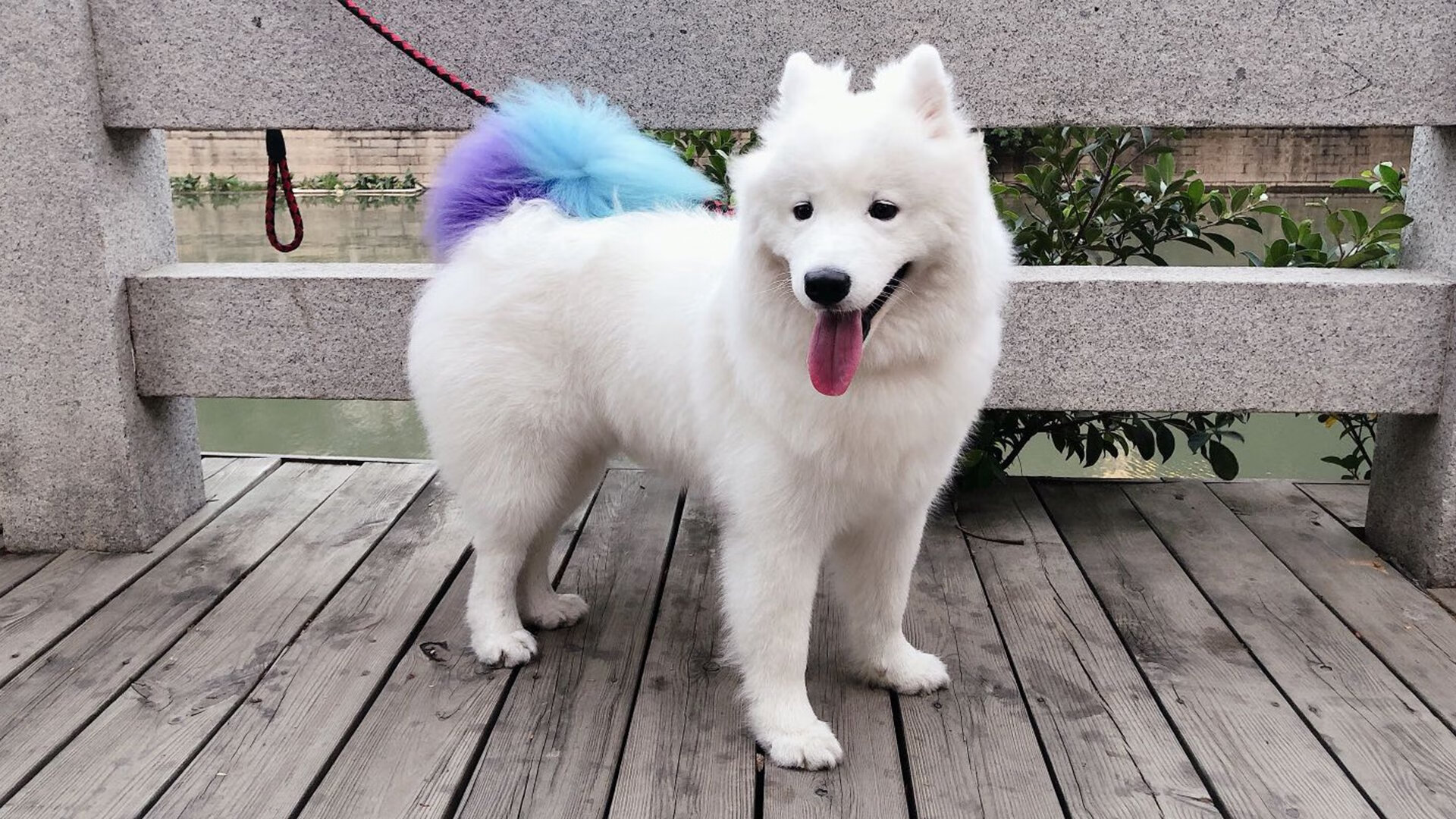 F1新赛季揭幕战之夜,恩佐的关键节点连续得分照亮巴林赛道