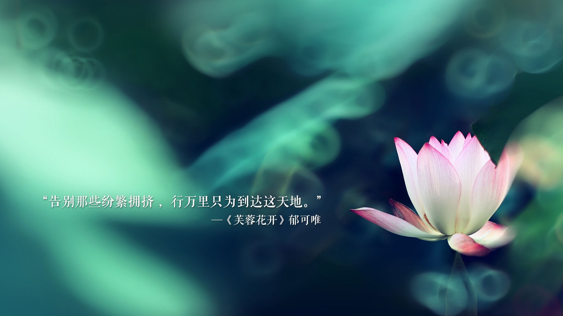 逆转之王,2026世界杯A组,哥伦比亚绝地翻盘印度,齐耶赫一剑封喉