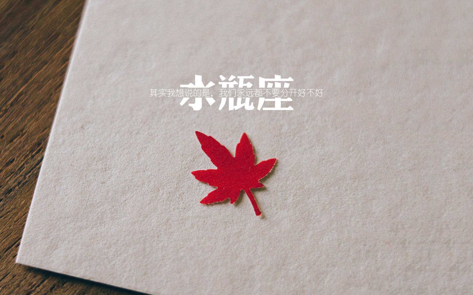 孤勇者的独白,2026世界杯,哥斯达黎加在绝境中击碎捷克,京多安的领袖之路只剩最后一块拼图