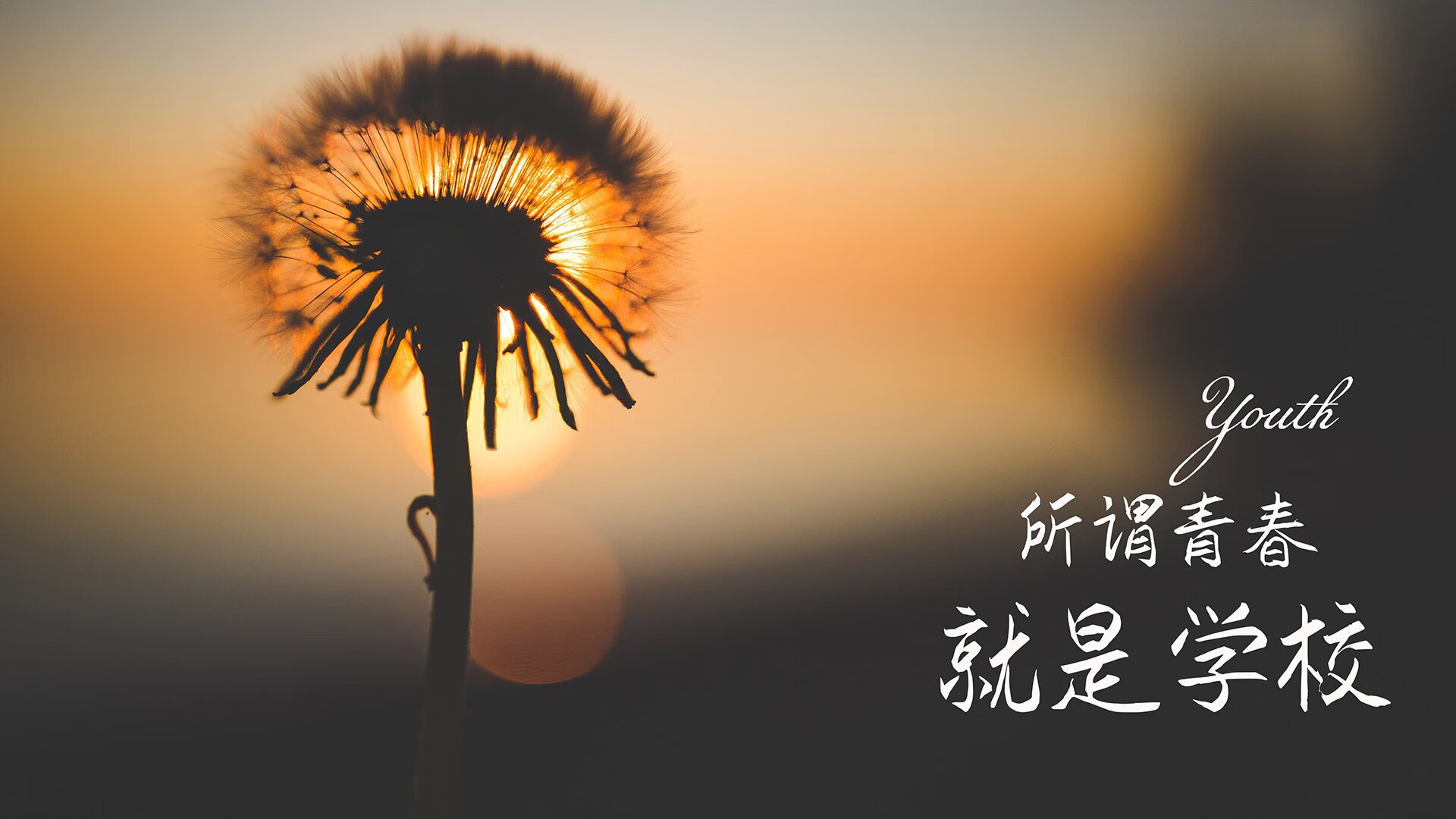 三狮破星条旗,C罗踏碎质疑,2026世界杯G组焦点战,一个人的史诗与两个时代的交接