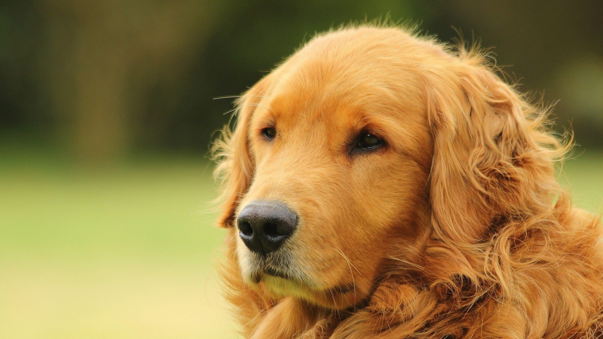 逆转、绝唱与新生,2026世界杯那场改写命运的巅峰对决